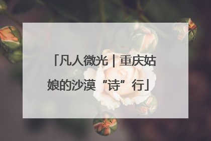 凡人微光｜重庆姑娘的沙漠“诗”行