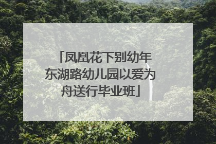 凤凰花下别幼年 东湖路幼儿园以爱为舟送行毕业班