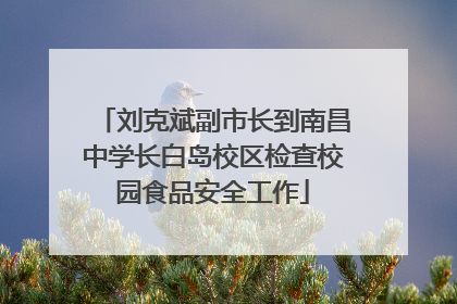 刘克斌副市长到南昌中学长白岛校区检查校园食品安全工作