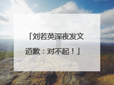 刘若英深夜发文道歉：对不起！