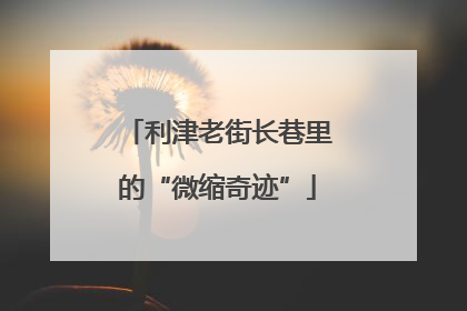 利津老街长巷里的“微缩奇迹”