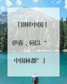 别样中国丨伊春，何以“中国林都”