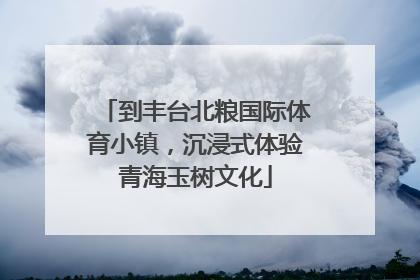 到丰台北粮国际体育小镇，沉浸式体验青海玉树文化