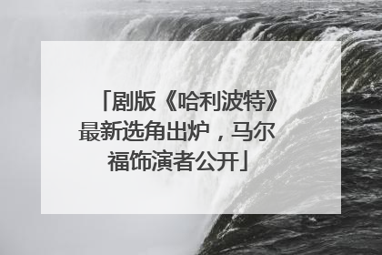 剧版《哈利波特》最新选角出炉，马尔福饰演者公开