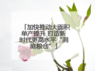 加快推动大面积单产提升 打造新时代更高水平“洞庭粮仓”