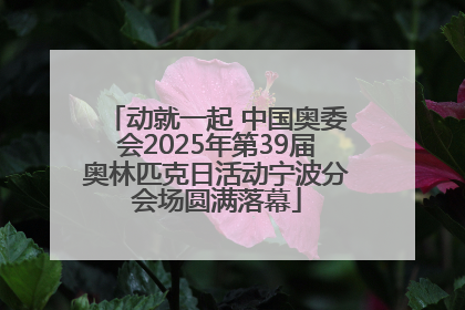 动就一起 中国奥委会2025年第39届奥林匹克日活动宁波分会场圆满落幕