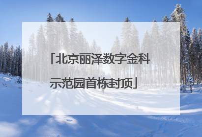 北京丽泽数字金科示范园首栋封顶
