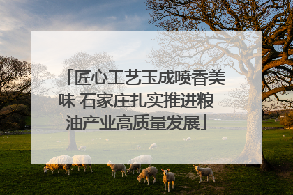 匠心工艺玉成喷香美味 石家庄扎实推进粮油产业高质量发展