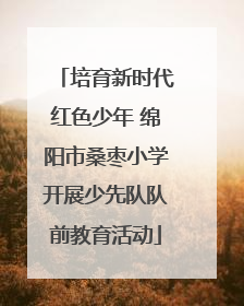 培育新时代红色少年 绵阳市桑枣小学开展少先队队前教育活动