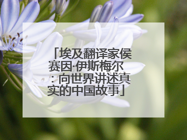埃及翻译家侯赛因·伊斯梅尔：向世界讲述真实的中国故事