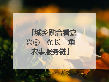 城乡融合看嘉兴③一条长三角农事服务链