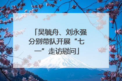 吴毓舟、刘永强分别带队开展“七一”走访慰问