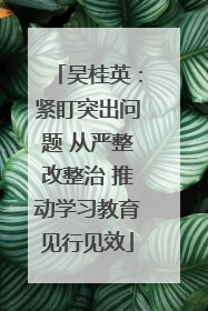 吴桂英：紧盯突出问题 从严整改整治 推动学习教育见行见效