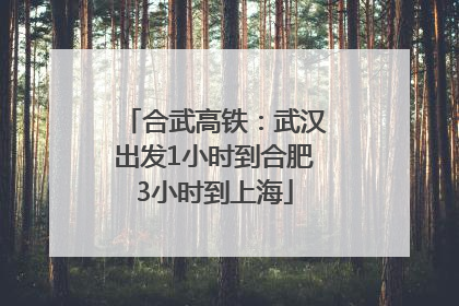 合武高铁：武汉出发1小时到合肥3小时到上海