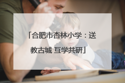 合肥市杏林小学：送教古城 互学共研