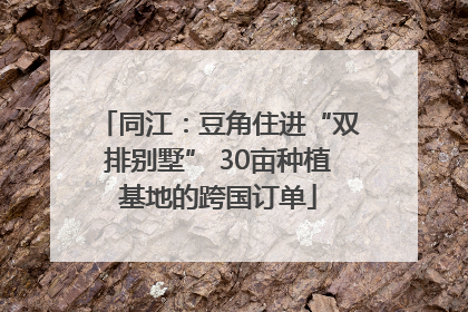 同江：豆角住进“双排别墅” 30亩种植基地的跨国订单