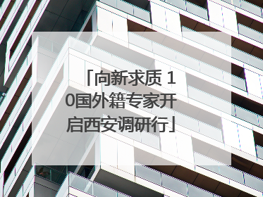 向新求质 10国外籍专家开启西安调研行