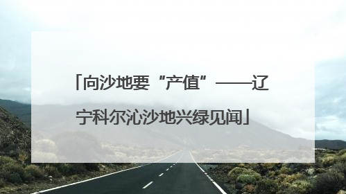 向沙地要“产值”——辽宁科尔沁沙地兴绿见闻