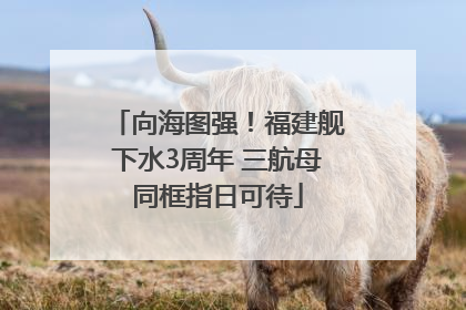 向海图强！福建舰下水3周年 三航母同框指日可待