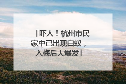 吓人！杭州市民家中已出现白蚁，入梅后大爆发