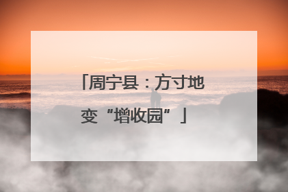 周宁县：方寸地变“增收园”