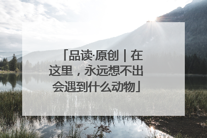 品读·原创｜在这里，永远想不出会遇到什么动物