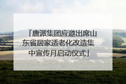 唐派集团应邀出席山东省居家适老化改造集中宣传月启动仪式