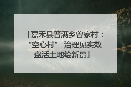 嘉禾县普满乡曾家村：“空心村” 治理见实效 盘活土地绘新景