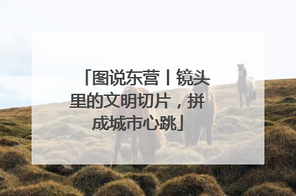 图说东营丨镜头里的文明切片，拼成城市心跳