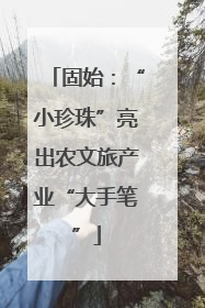 固始：“小珍珠”亮出农文旅产业“大手笔”