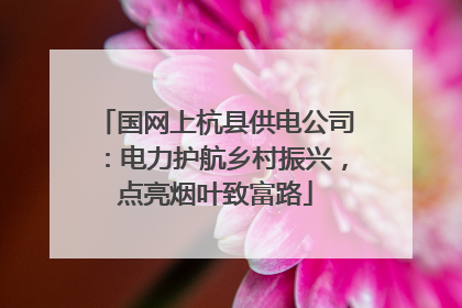 国网上杭县供电公司：电力护航乡村振兴，点亮烟叶致富路