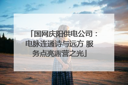 国网庆阳供电公司：电脉连通诗与远方 服务点亮露营之光