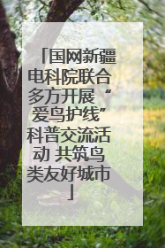 国网新疆电科院联合多方开展“爱鸟护线”科普交流活动 共筑鸟类友好城市