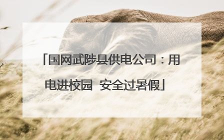 国网武陟县供电公司：用电进校园  安全过暑假