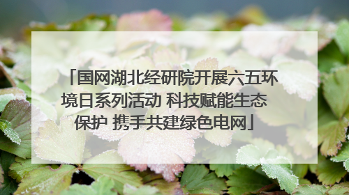 国网湖北经研院开展六五环境日系列活动 科技赋能生态保护 携手共建绿色电网
