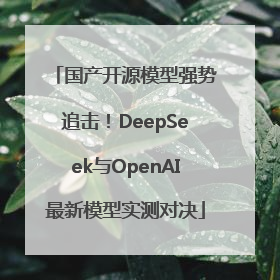 国产开源模型强势追击！DeepSeek与OpenAI最新模型实测对决
