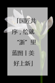 国匠共序，绘就“浙”里蓝图丨美好上新
