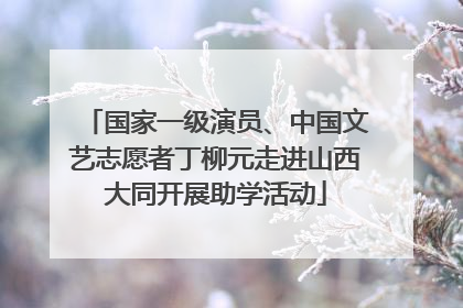 国家一级演员、中国文艺志愿者丁柳元走进山西大同开展助学活动