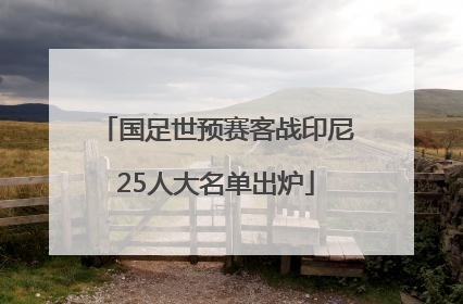 国足世预赛客战印尼25人大名单出炉