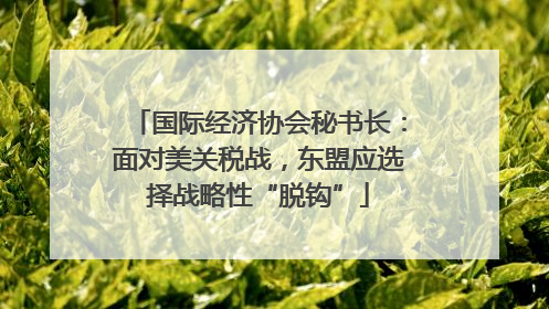 国际经济协会秘书长：面对美关税战，东盟应选择战略性“脱钩”