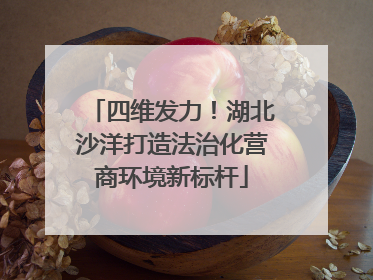 四维发力！湖北沙洋打造法治化营商环境新标杆