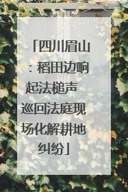 四川眉山：稻田边响起法槌声 巡回法庭现场化解耕地纠纷