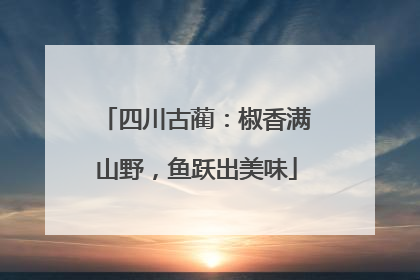 四川古蔺：椒香满山野，鱼跃出美味
