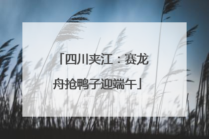 四川夹江：赛龙舟抢鸭子迎端午