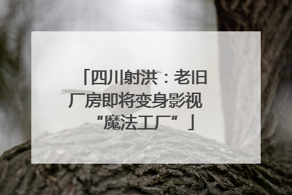 四川射洪：老旧厂房即将变身影视“魔法工厂”