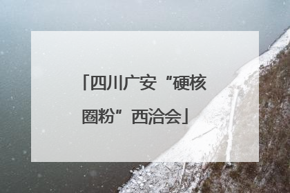 四川广安“硬核圈粉”西洽会