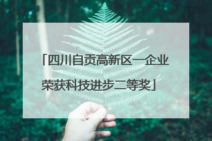 四川自贡高新区一企业荣获科技进步二等奖