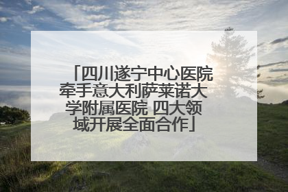 四川遂宁中心医院牵手意大利萨莱诺大学附属医院 四大领域开展全面合作