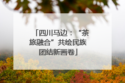四川马边：“茶旅融合”共绘民族团结新画卷