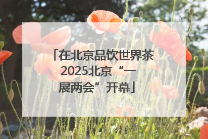在北京品饮世界茶 2025北京“一展两会”开幕